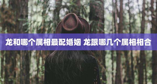 龙和哪个属相最配婚姻 龙跟哪几个属相相合