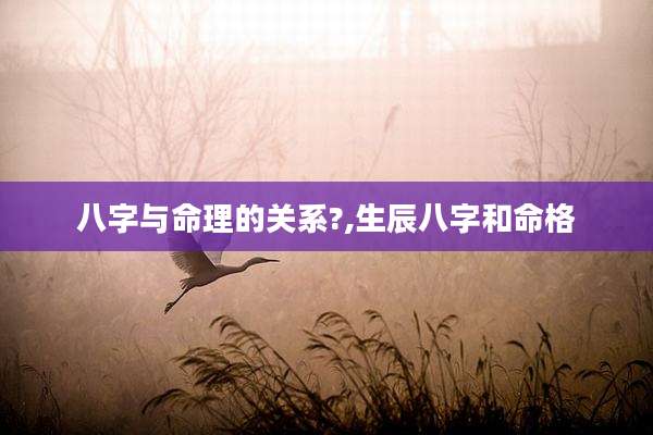 八字与命理的关系?,生辰八字和命格