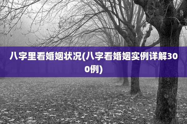 八字里看婚姻状况(八字看婚姻实例详解300例)