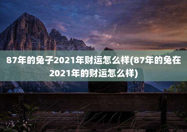 87年的兔子2021年财运怎么样(87年的兔在2021年的财运怎么样)