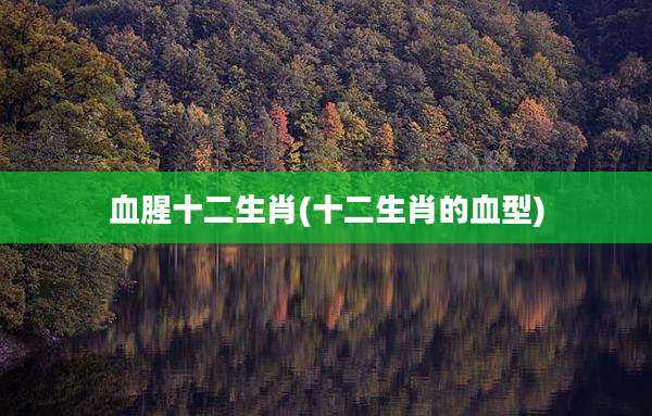 血腥十二生肖(十二生肖的血型)