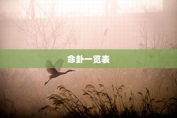 命卦一览表
