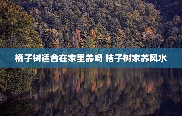 橘子树适合在家里养吗 桔子树家养风水