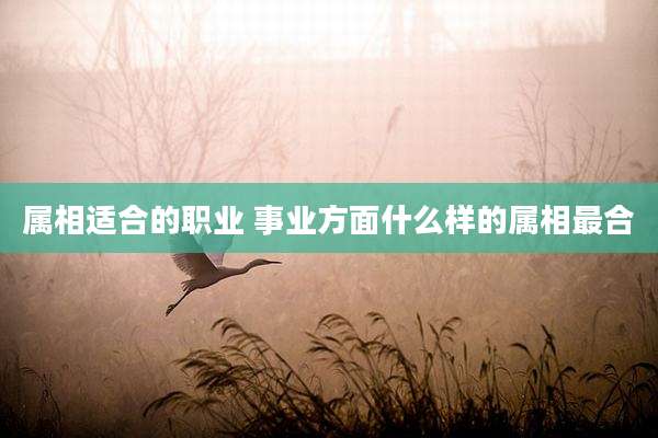 属相适合的职业 事业方面什么样的属相最合