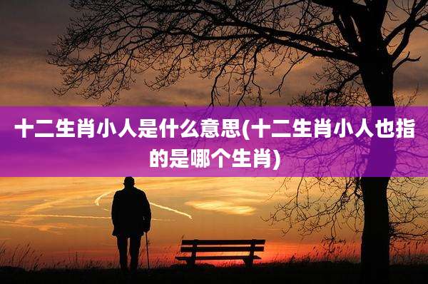 十二生肖小人是什么意思(十二生肖小人也指的是哪个生肖)