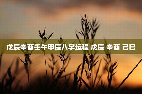戊辰辛酉壬午甲辰八字运程 戊辰 辛酉 己巳