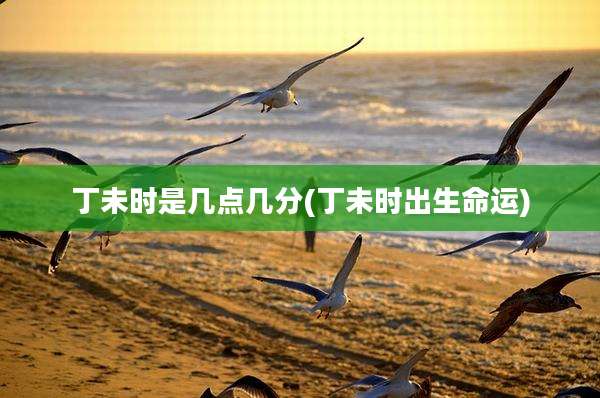 丁未时是几点几分(丁未时出生命运)