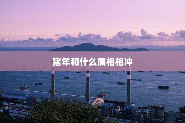 猪年和什么属相相冲