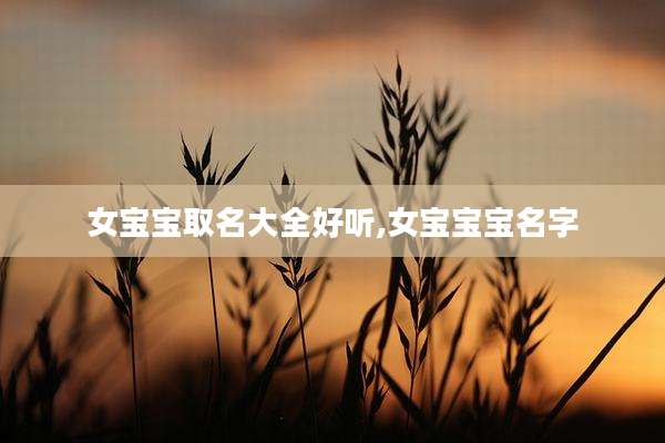 女宝宝取名大全好听,女宝宝宝名字