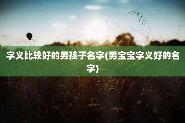 字义比较好的男孩子名字(男宝宝字义好的名字)