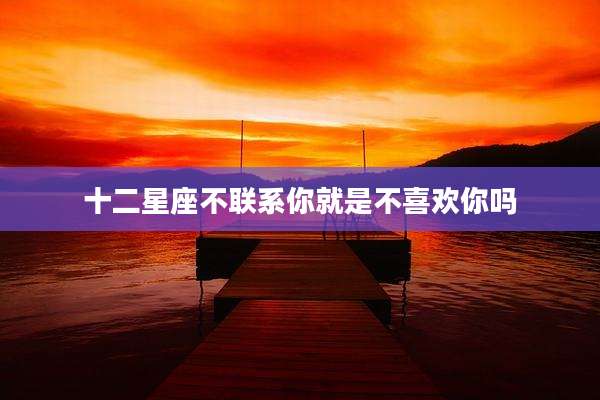 十二星座不联系你就是不喜欢你吗