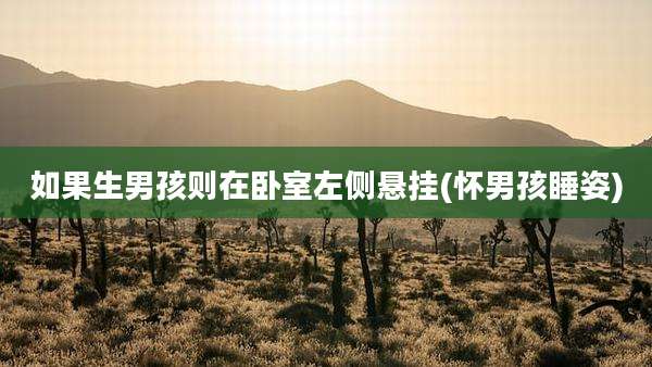 如果生男孩则在卧室左侧悬挂(怀男孩睡姿)