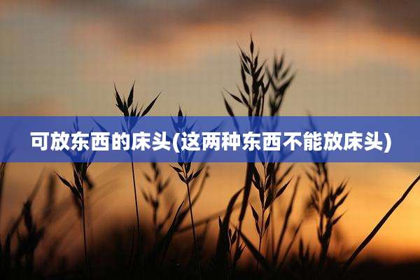 可放东西的床头(这两种东西不能放床头)