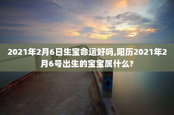 2021年2月6日生宝命运好吗,阳历2021年2月6号出生的宝宝属什么?