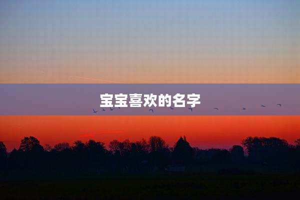 宝宝喜欢的名字