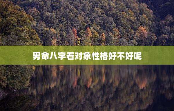男命八字看对象性格好不好呢