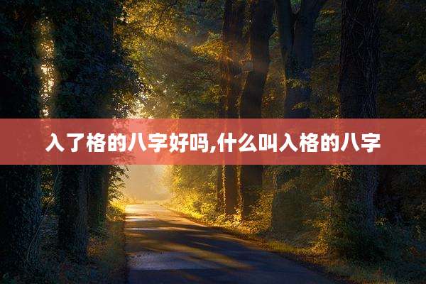 入了格的八字好吗,什么叫入格的八字