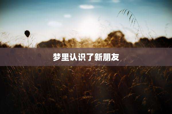 梦里认识了新朋友