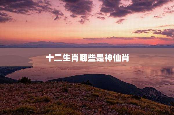 十二生肖哪些是神仙肖
