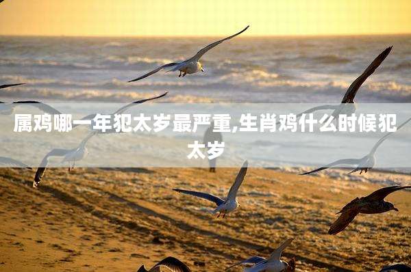 属鸡哪一年犯太岁最严重,生肖鸡什么时候犯太岁