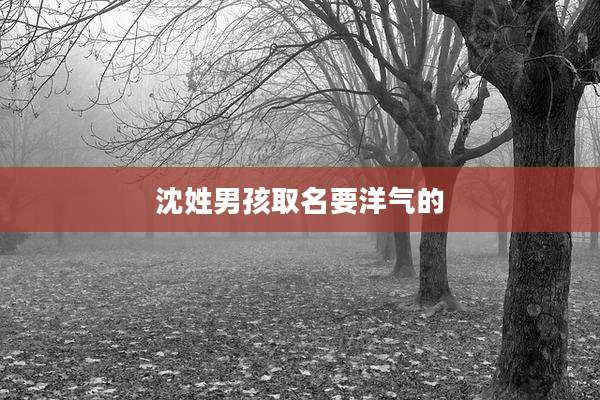 沈姓男孩取名要洋气的