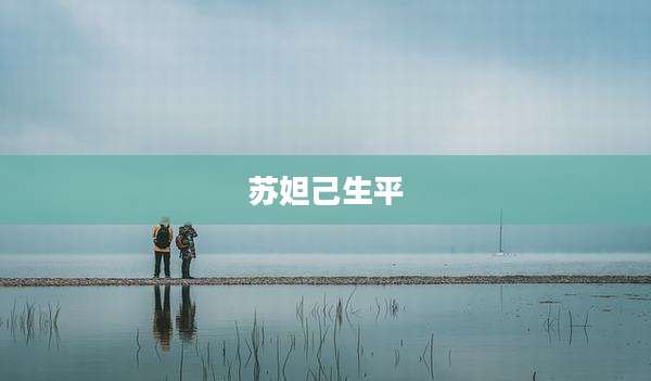 苏妲己生平