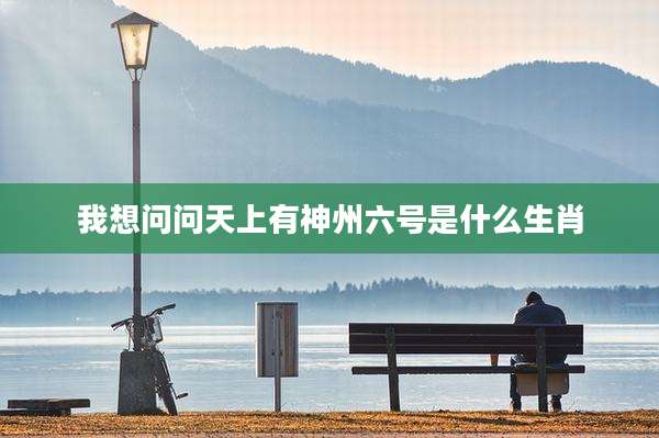 我想问问天上有神州六号是什么生肖