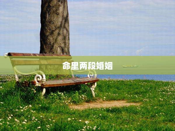 命里两段婚姻