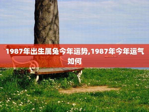 1987年出生属兔今年运势,1987年今年运气如何