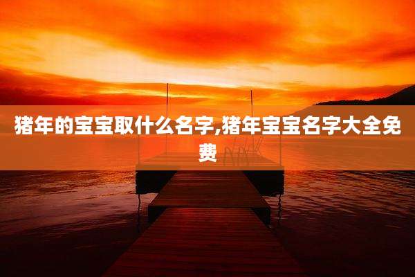 猪年的宝宝取什么名字,猪年宝宝名字大全免费