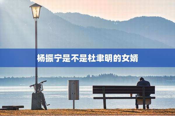 杨振宁是不是杜聿明的女婿