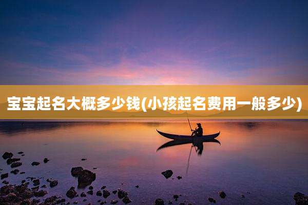 宝宝起名大概多少钱(小孩起名费用一般多少)