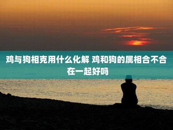 鸡与狗相克用什么化解 鸡和狗的属相合不合 在一起好吗