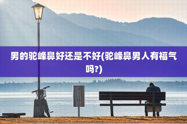 男的驼峰鼻好还是不好(驼峰鼻男人有福气吗?)