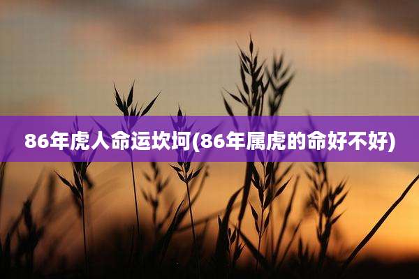 86年虎人命运坎坷(86年属虎的命好不好)