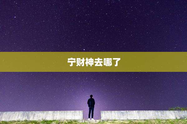 宁财神去哪了