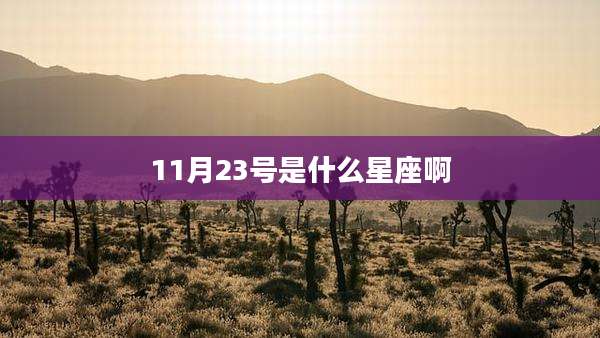 11月23号是什么星座啊