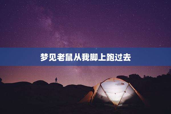 梦见老鼠从我脚上跑过去