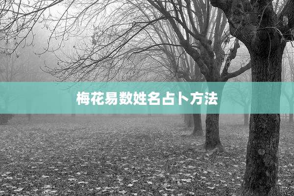 梅花易数姓名占卜方法