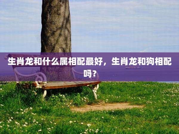 生肖龙和什么属相配最好，生肖龙和狗相配吗？