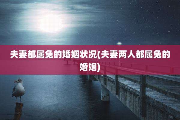夫妻都属兔的婚姻状况(夫妻两人都属兔的婚姻)