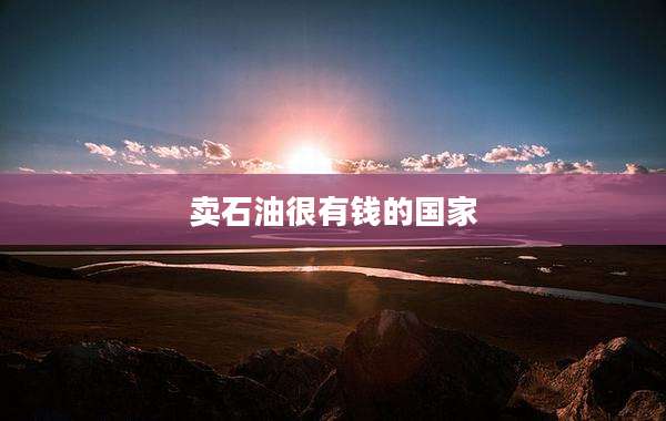 卖石油很有钱的国家