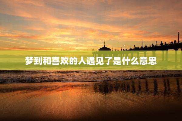 梦到和喜欢的人遇见了是什么意思