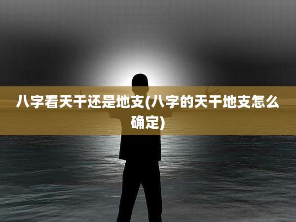 八字看天干还是地支(八字的天干地支怎么确定)