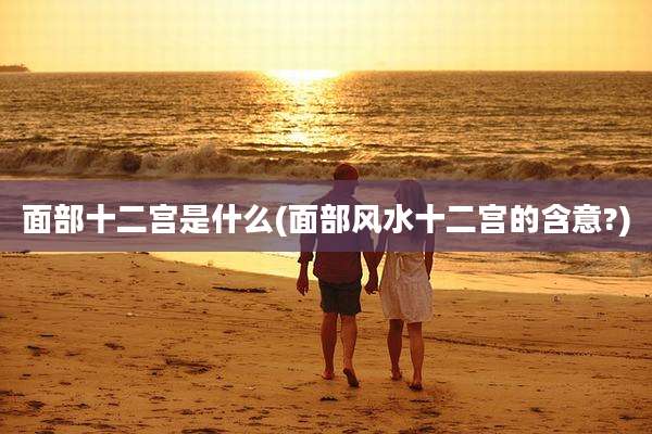 面部十二宫是什么(面部风水十二宫的含意?)