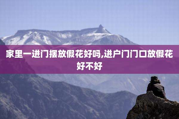 家里一进门摆放假花好吗,进户门门口放假花好不好
