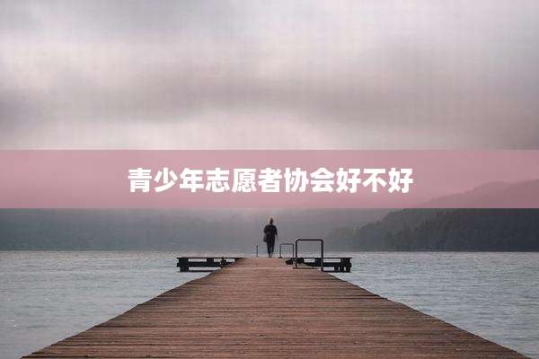 青少年志愿者协会好不好