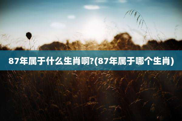 87年属于什么生肖啊?(87年属于哪个生肖)