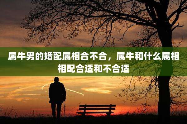 属牛男的婚配属相合不合,属牛和什么属相相配合适和不合适