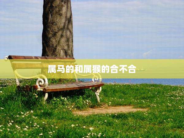 属马的和属猴的合不合